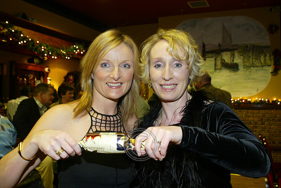 Oireachtas 2004 1202