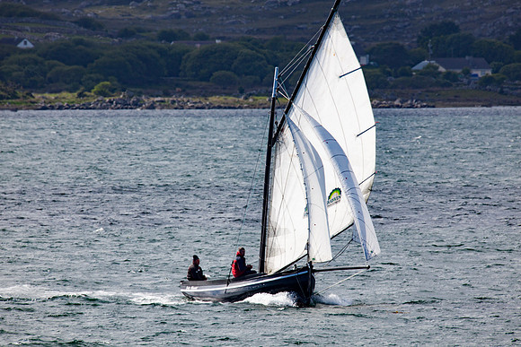 FeileRosMuc01_16-0104