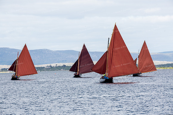 FéileCillChiaráin16-0511