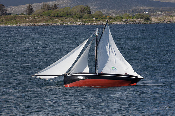 FeileRosMuc01_16-0129