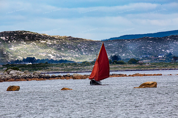 FéileCillChiaráin16-0351