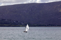 FeileRosMuc01_16-0102