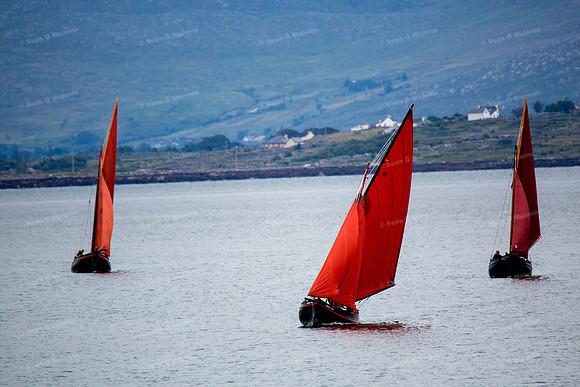 FéileCillChiaráin16-0026