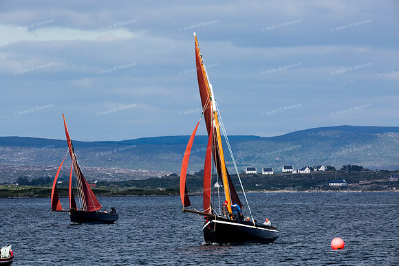 FéileCillChiaráin16-0567