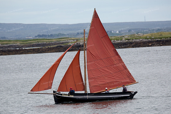 FéileCillChiaráin16-0216