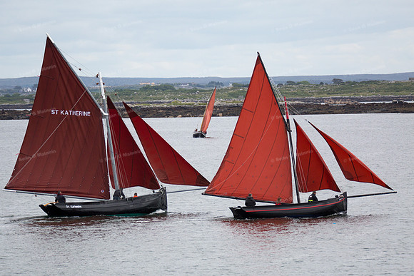 FéileCillChiaráin16-0049