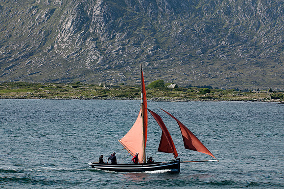 FeileRosMuc01_16-0093
