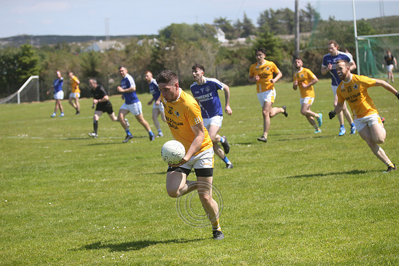 CARNA CAISEAL V GAEIL FHÁNADA-193
