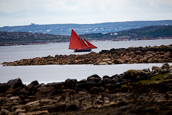 FéileCillChiaráin16-0126
