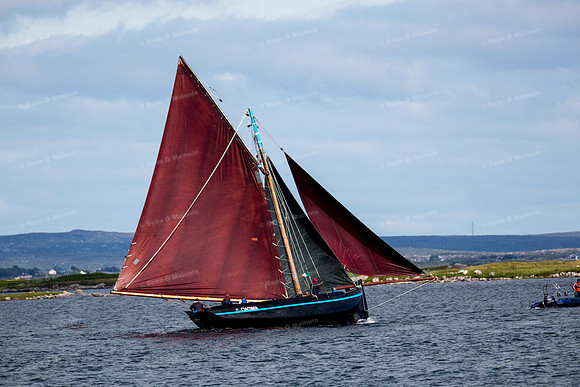 FéileCillChiaráin16-0427