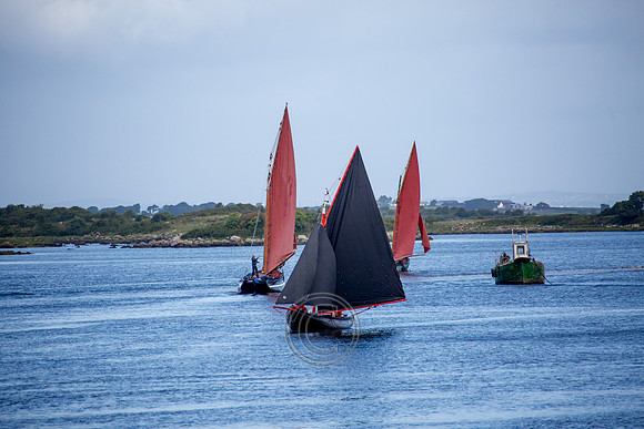 Kinvara816-0299