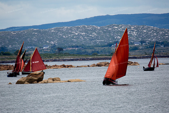 FéileCillChiaráin16-0219