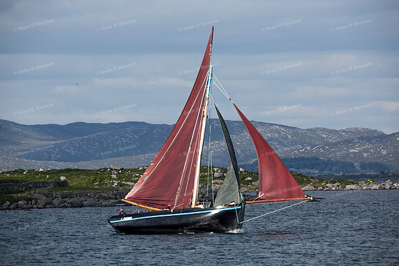 FéileCillChiaráin16-0560