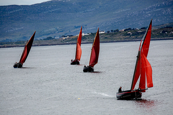 FéileCillChiaráin16-0037