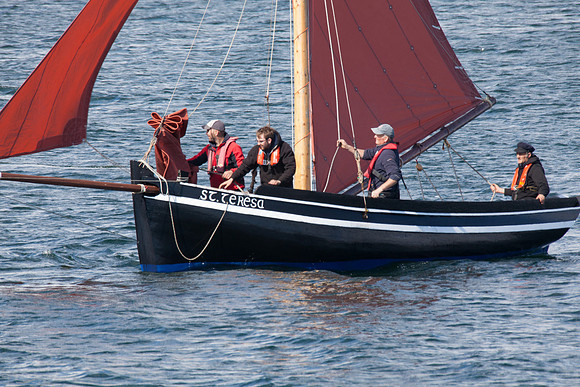 FeileRosMuc01_16-0098