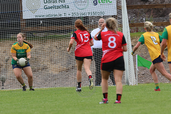 CLANN NA nGAEL V N FIONNBARRA-274