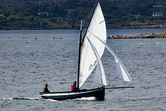 FeileRosMuc01_16-0107