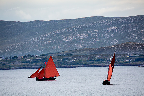 FéileCillChiaráin16-0015