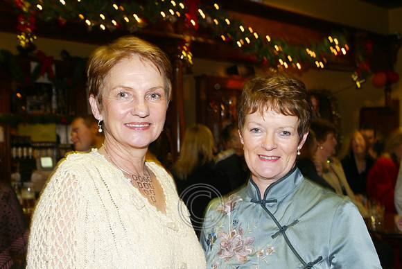 Oireachtas 2004 1193