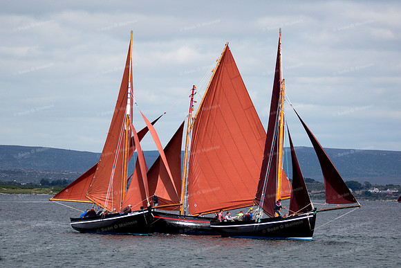 FéileCillChiaráin16-0423