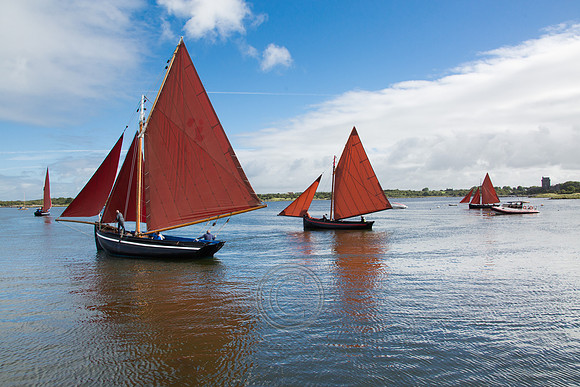 Kinvara816-0437