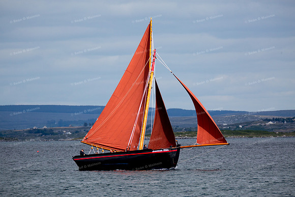 FéileCillChiaráin16-0414