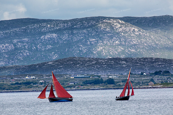 FéileCillChiaráin16-0347