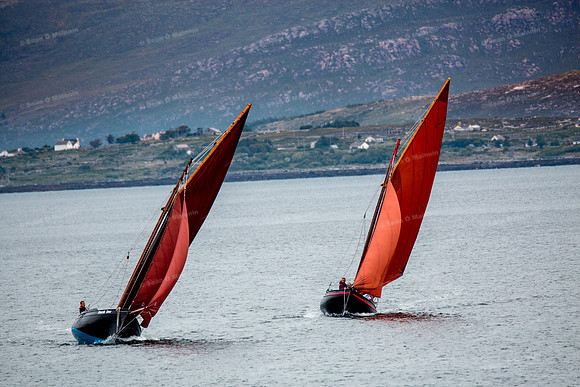 FéileCillChiaráin16-0059