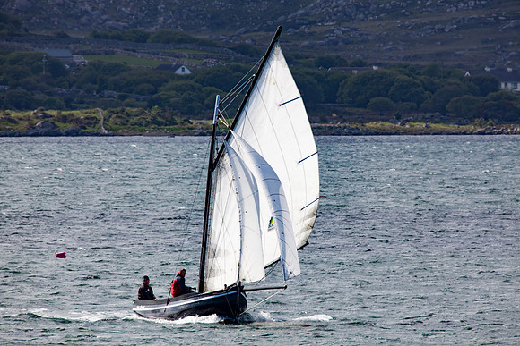 FeileRosMuc01_16-0103