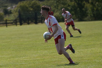 GAEL V DAINGEAN-23