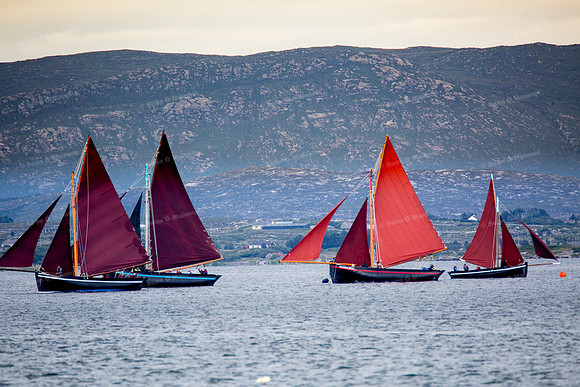 FéileCillChiaráin16-0386