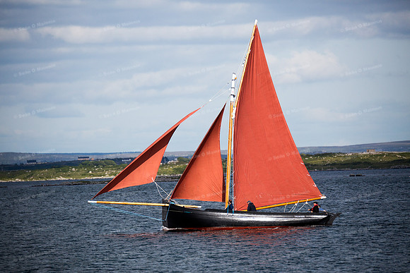 FéileCillChiaráin16-0546