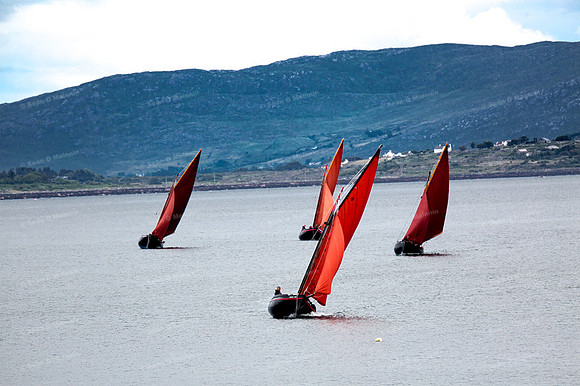FéileCillChiaráin16-0033