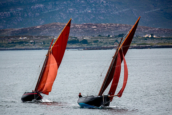FéileCillChiaráin16-0066