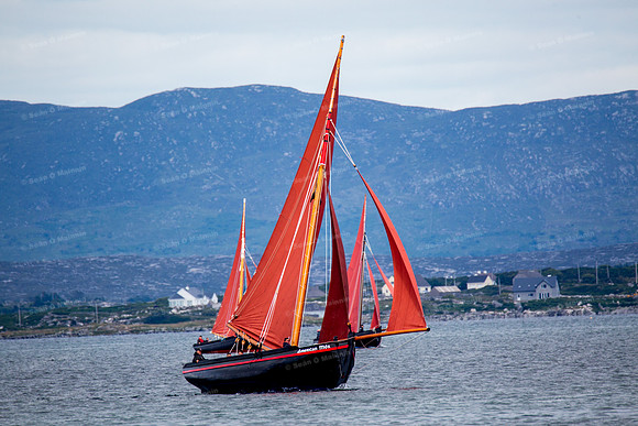 FéileCillChiaráin16-0408