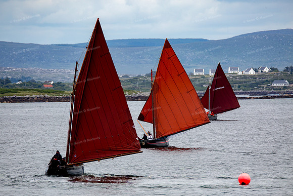 FéileCillChiaráin16-0176