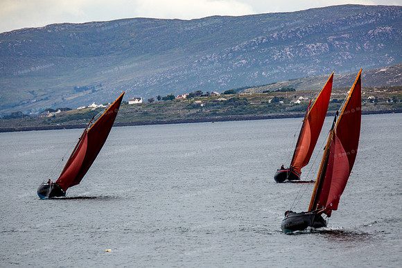 FéileCillChiaráin16-0053