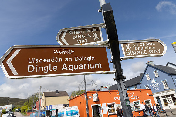 POBAL DINGLE-136