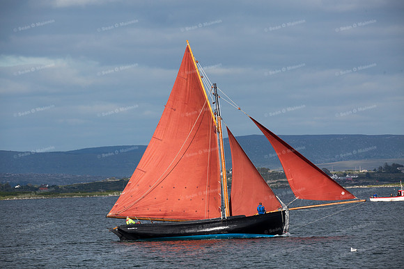 FéileCillChiaráin16-0558