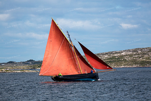 FéileCillChiaráin16-0426