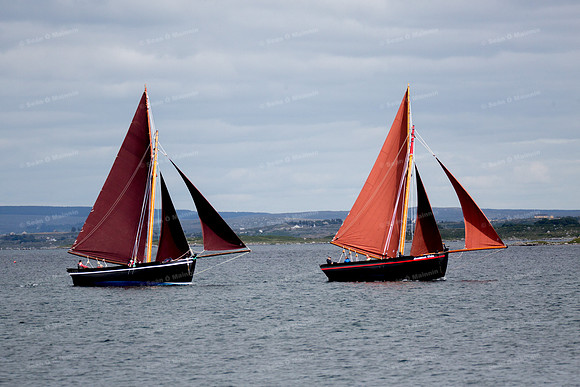 FéileCillChiaráin16-0416