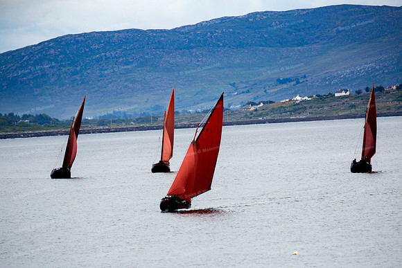 FéileCillChiaráin16-0028