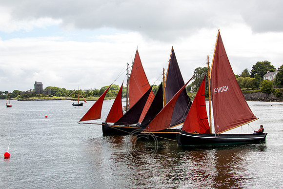 Kinvara816-0522