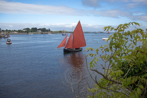 Kinvara816-0285