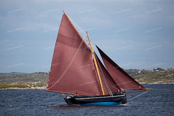 FéileCillChiaráin16-0554