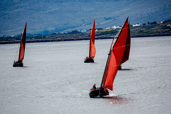 FéileCillChiaráin16-0035