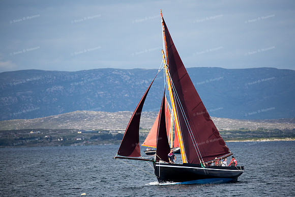 FéileCillChiaráin16-0547