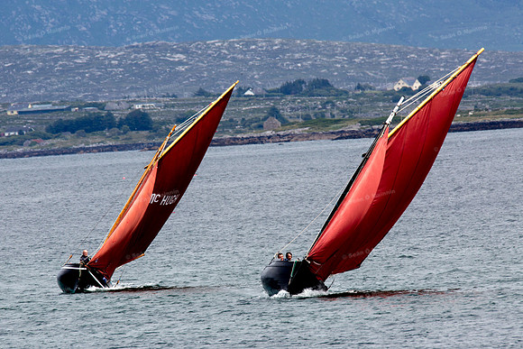 FéileCillChiaráin16-0255