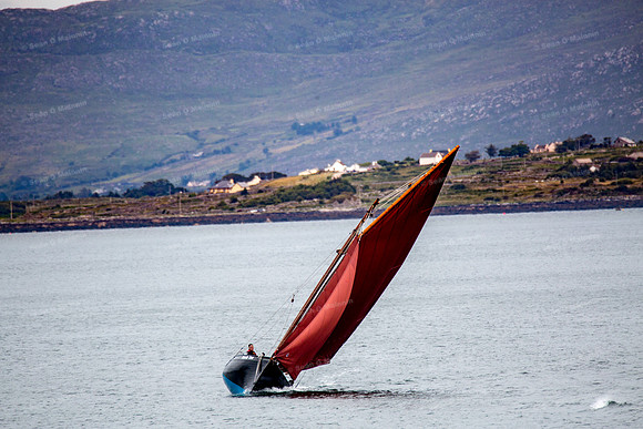 FéileCillChiaráin16-0056
