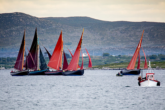 FéileCillChiaráin16-0384